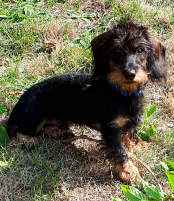 photo de Athos